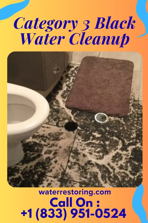 Category 3 Black Water Cleanup in Burr Oak, KS