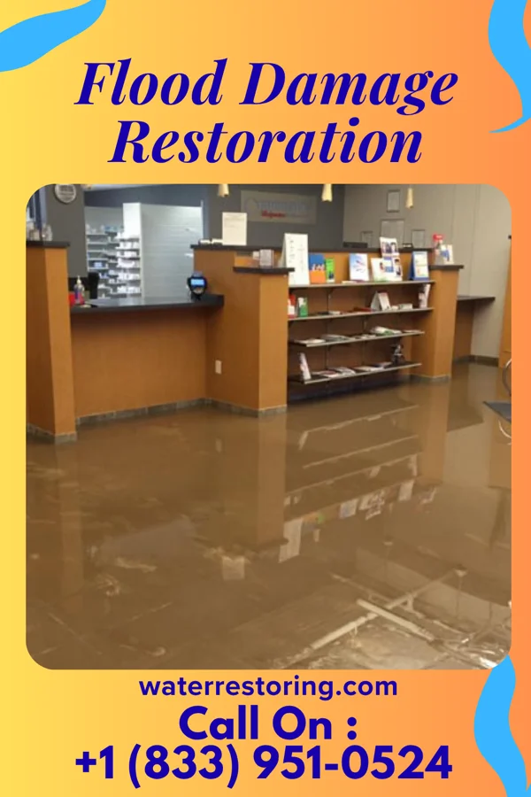 Flood Damage Restoration in Burr Oak, KS